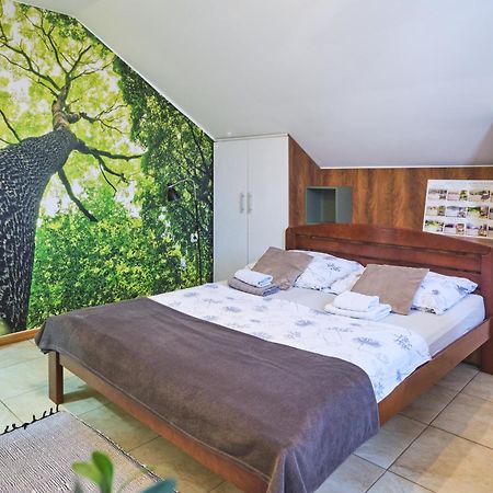 Zupan Apartmani Soko Banja Bagian luar foto